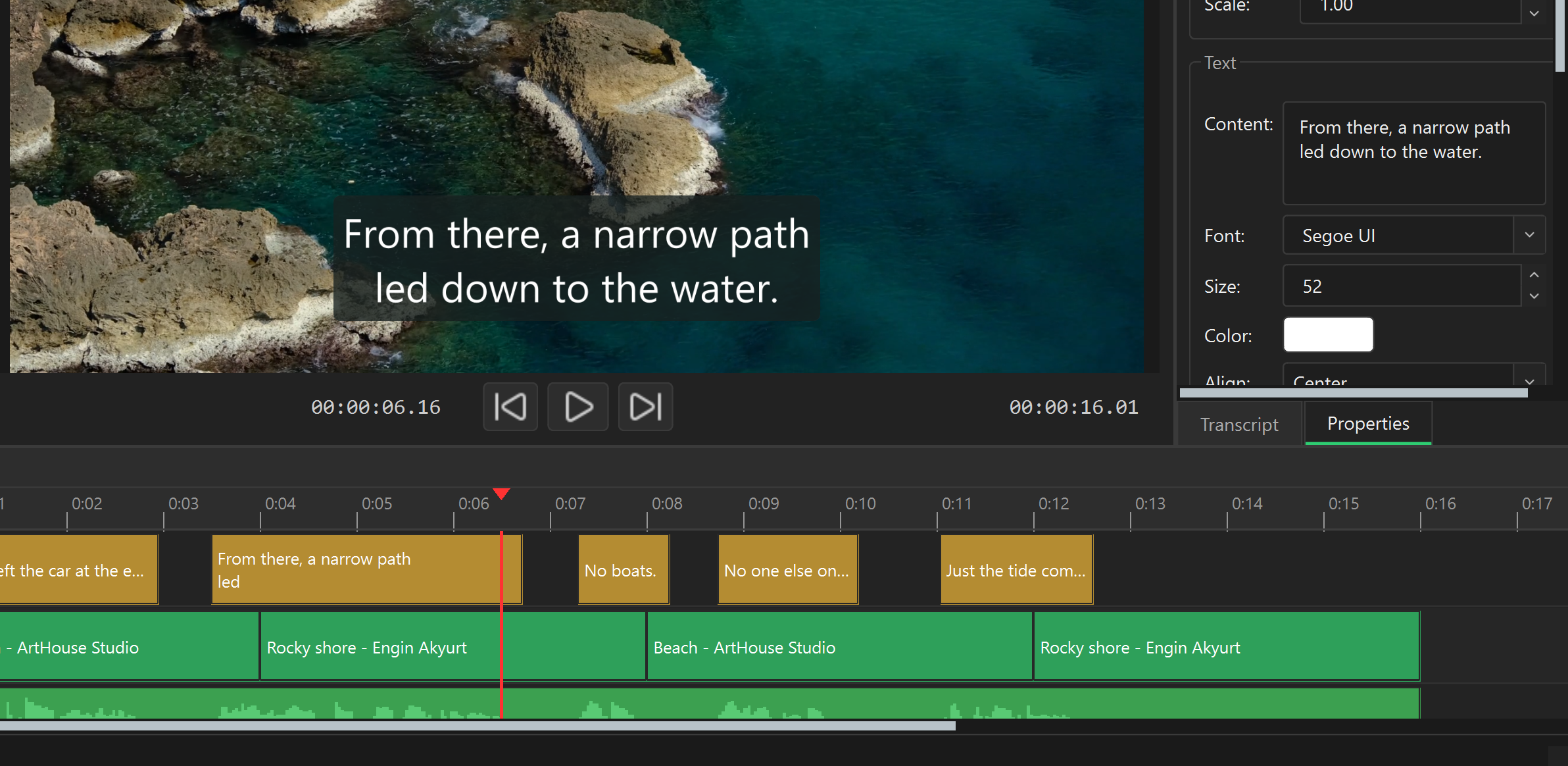 Caption styling beside the video preview and timeline in Minty Studio